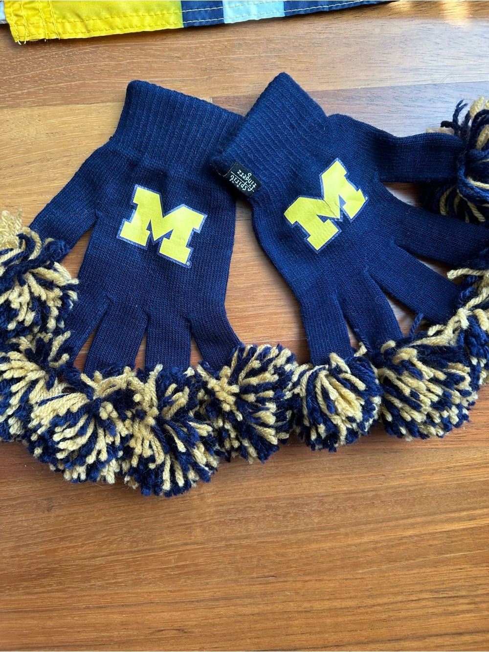 University of Michigan game day essentials - Picture 7 of 15